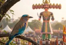 Photo of दशहरे पर ‘नीलकंठ’ पक्षी कै दिखना काहे मान जात अहै शुभ?